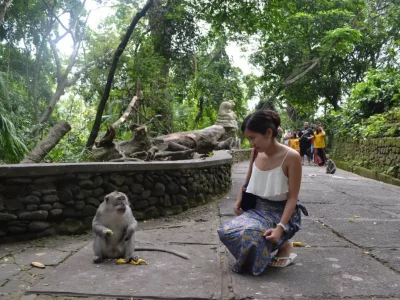 monkey forest (3)