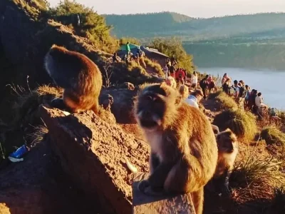 mount batur trekking (1)